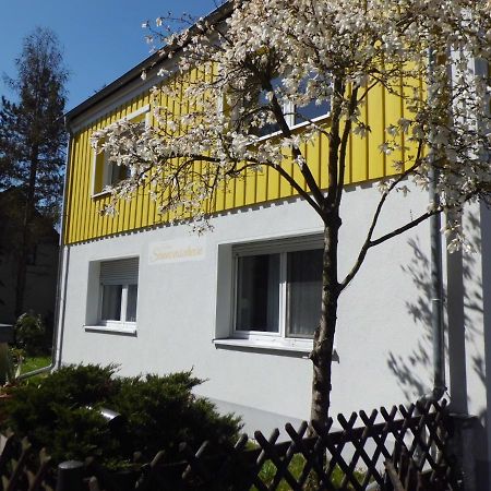 Ferienwohnung Im Haus Sonnenschein Beim Senftenberger See Hosena Bagian luar foto